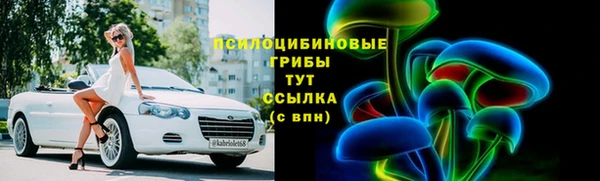 тгк Алзамай