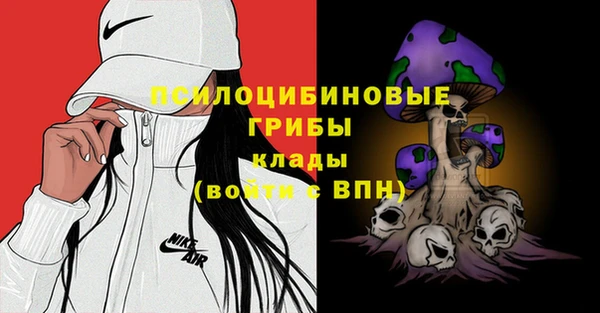 молекула духа Алексеевка