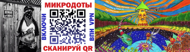MEGA   Звенигово  Псилоцибиновые грибы Psilocybe 