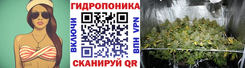 наркотики Звенигово Каннабис ГИДРОПОН